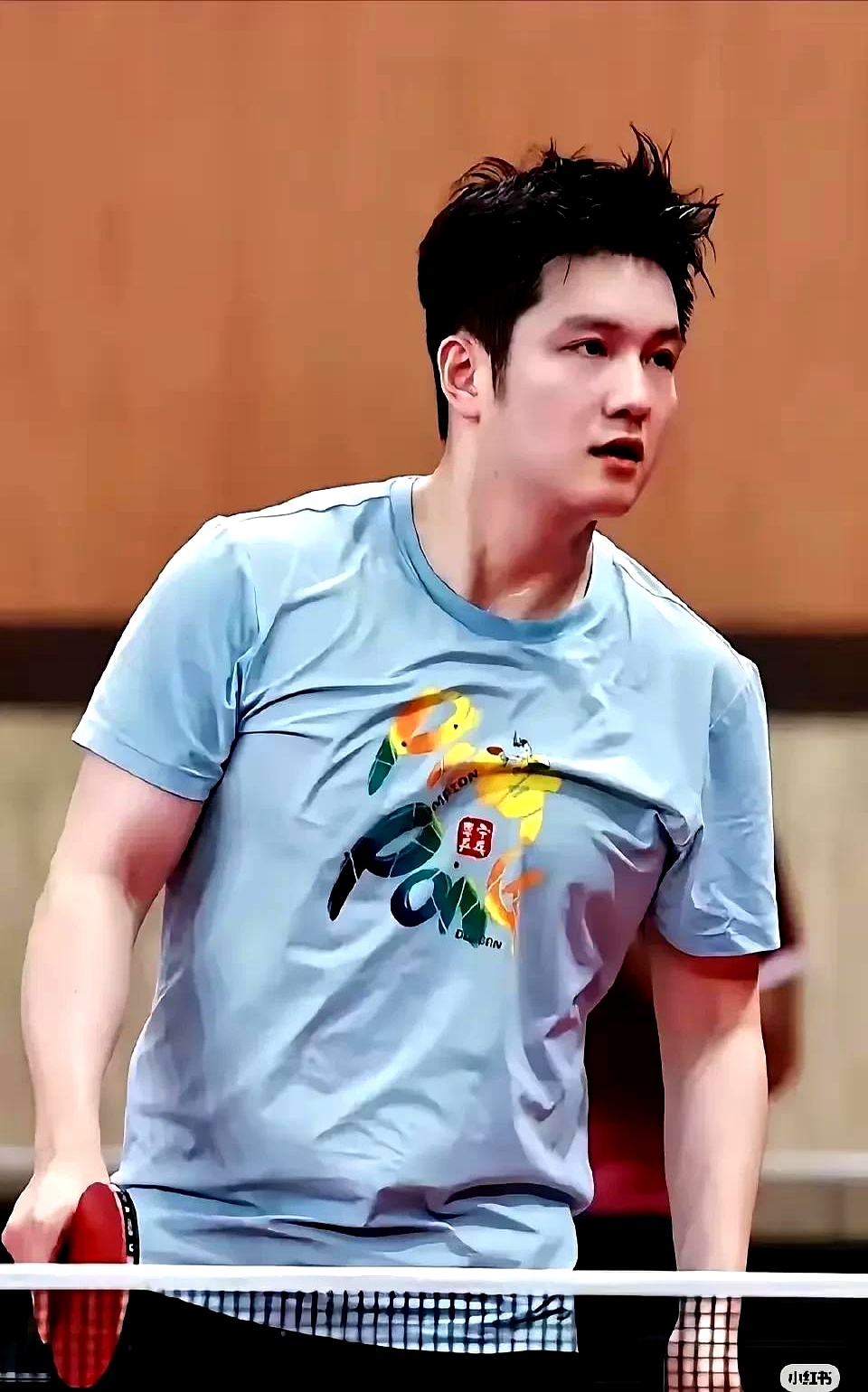 葡萄牙队横扫韩国队，樊振东刷新纪录