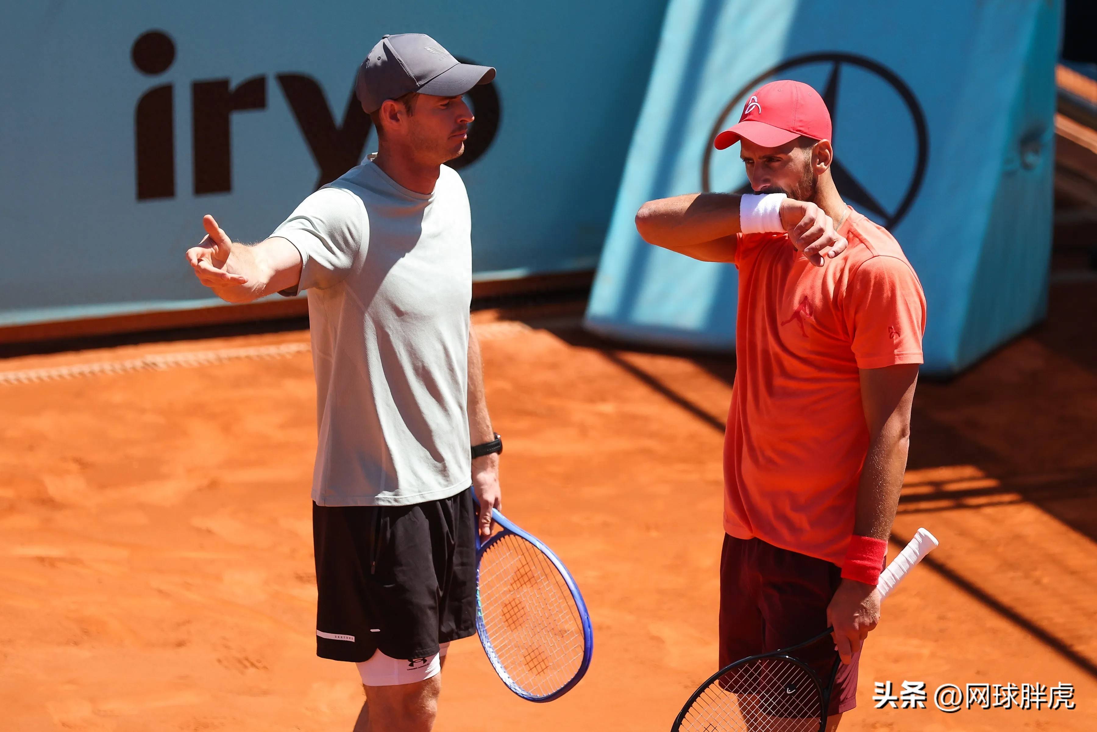 温网绝杀戴维斯杯,穆雷惊艳四座 温网绝杀戴维斯杯,穆雷惊艳四座